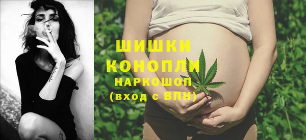 тгк Богданович