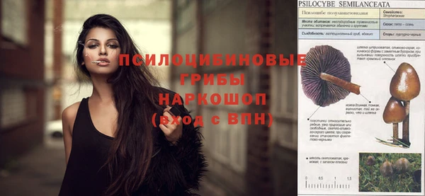 PSILOCYBIN Богородск