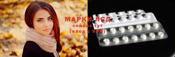 тгк Богданович