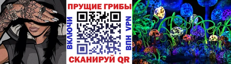 даркнет клад  Кондопога  Псилоцибиновые грибы прущие грибы 